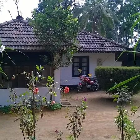Chai Guest House Munnar